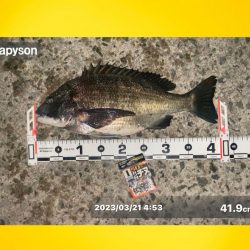 連続のアタリに良い魚の活性