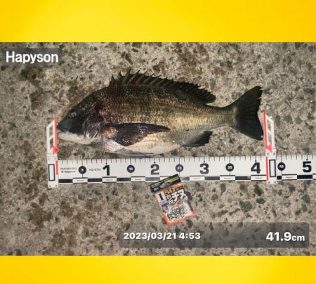 連続のアタリに良い魚の活性