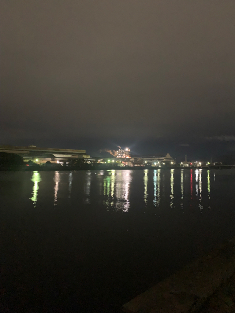 ボラーフィッシング