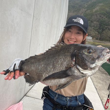 チヌ乗っ込み♪