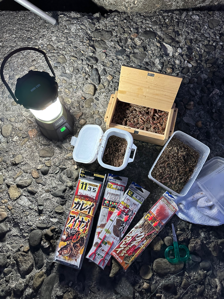 花見カレイ🌸狙い