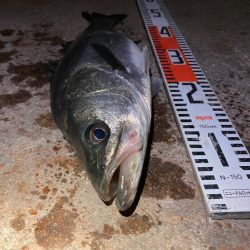 1時間で2キャッチ！