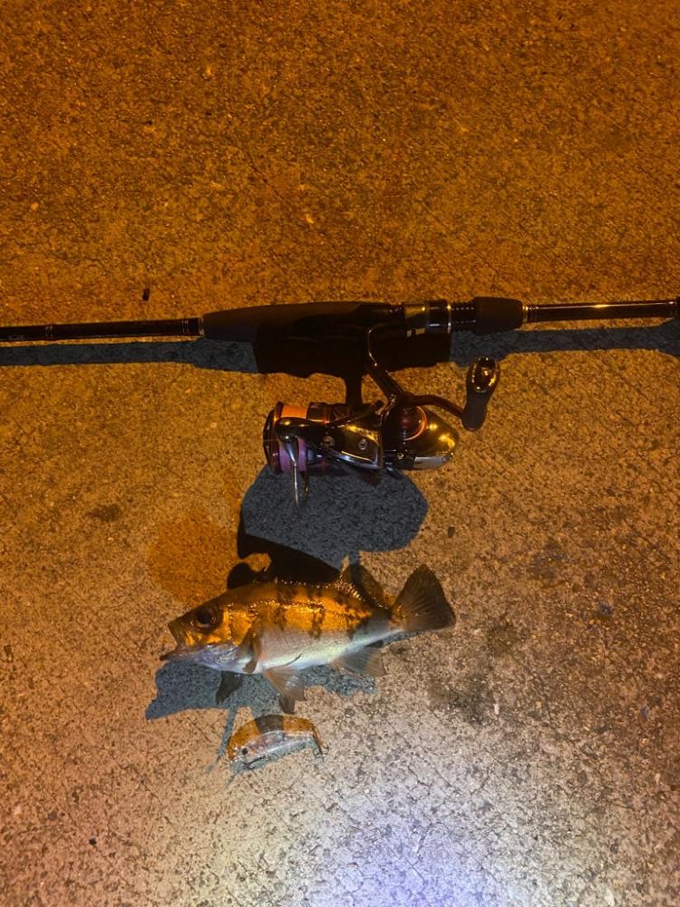 メバリングby小雨