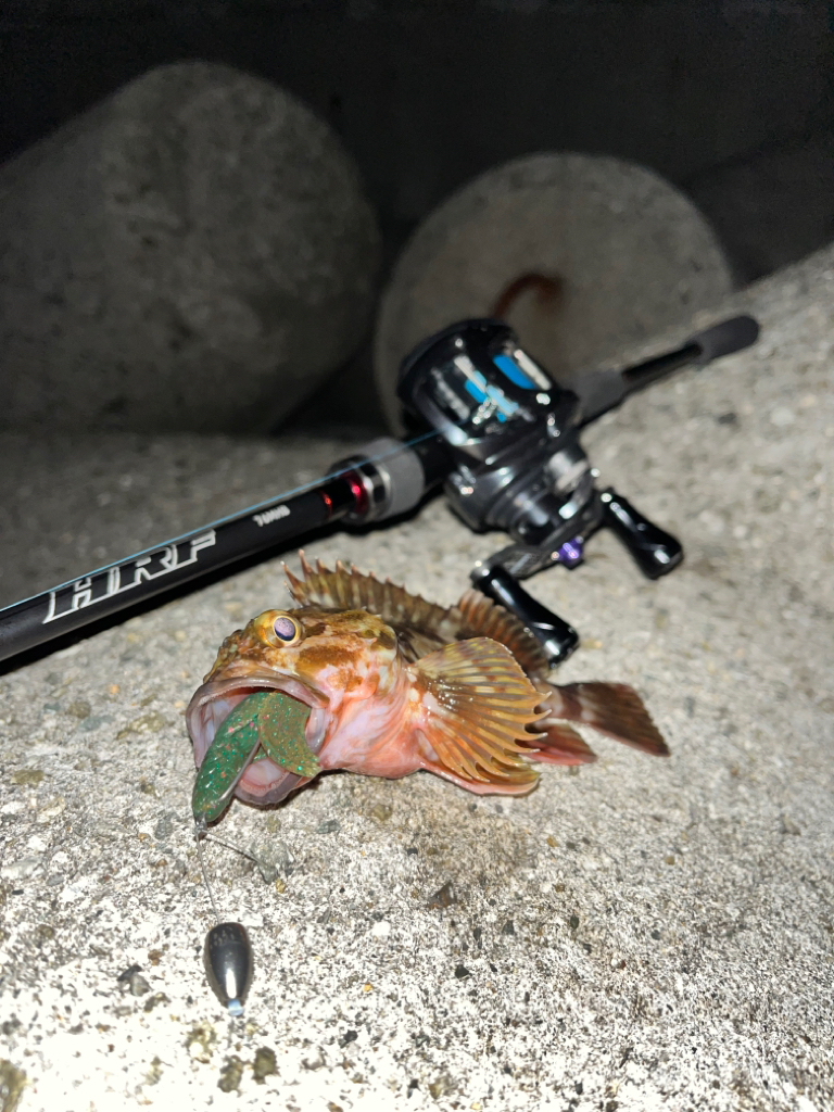 ロックフィッシュ