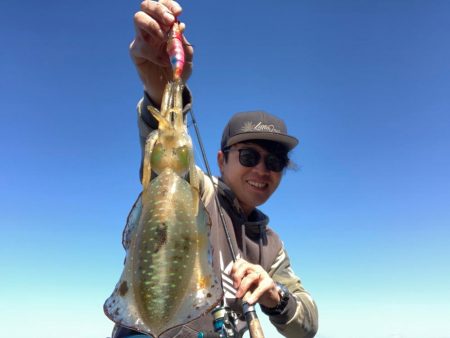 アオリイカ1.3キロオーバー