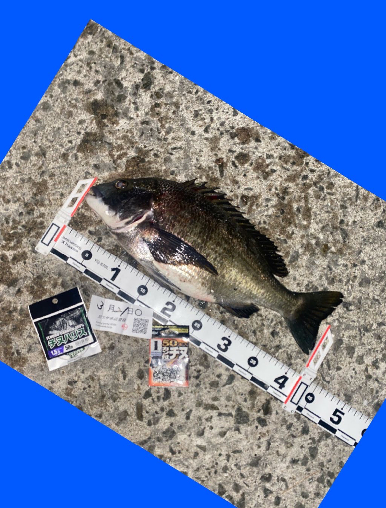 釣り日和の良い天気