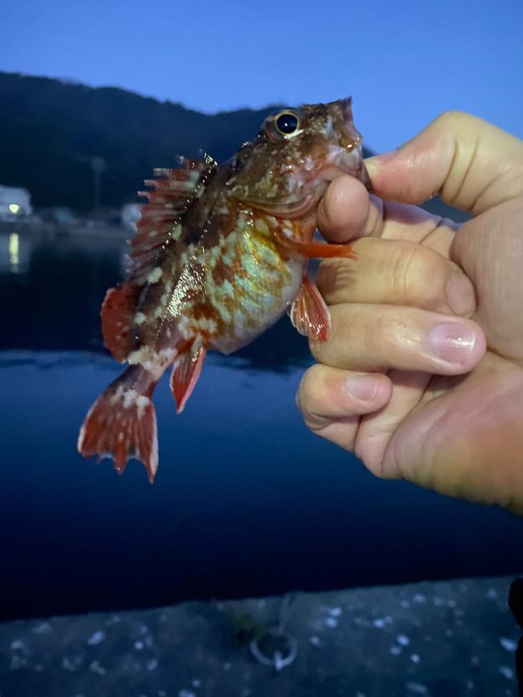 ガシリング① 北京都釣行