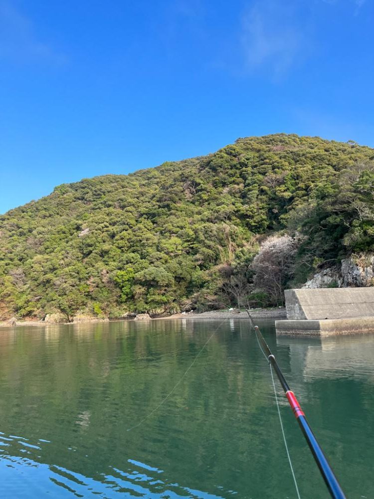 のんびり堤防でフカセ