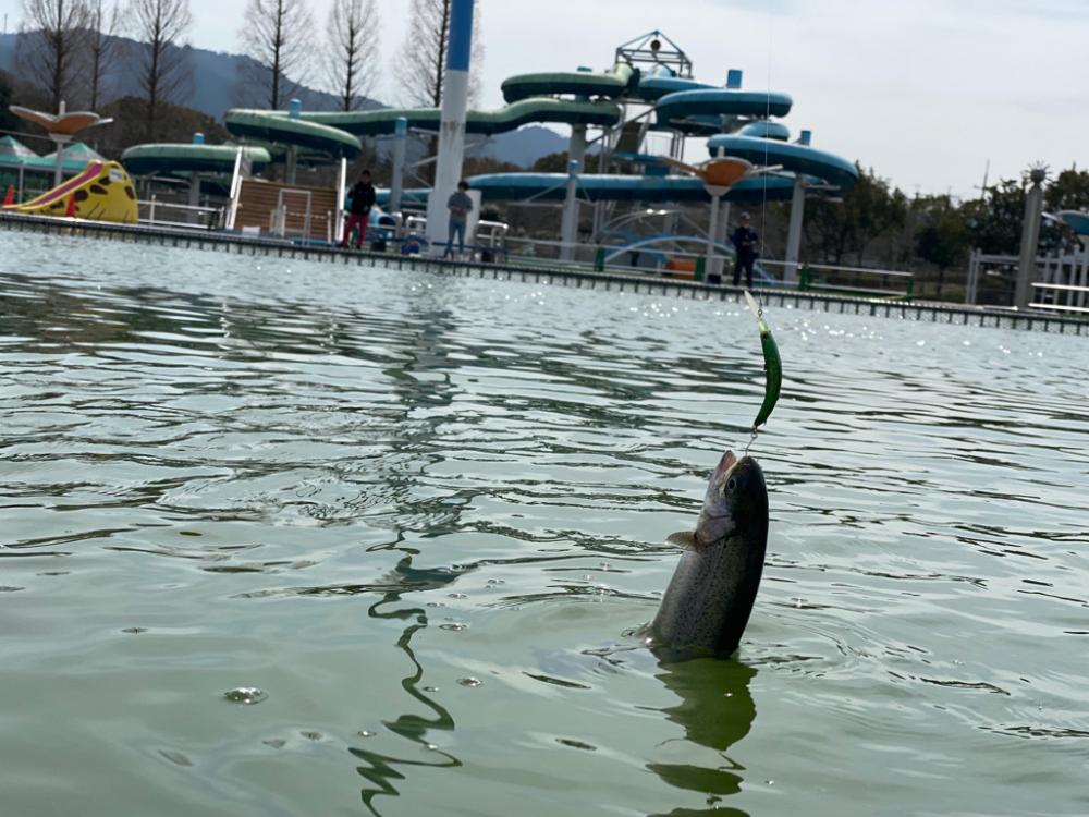 亀プー　かめプー　かめぷー