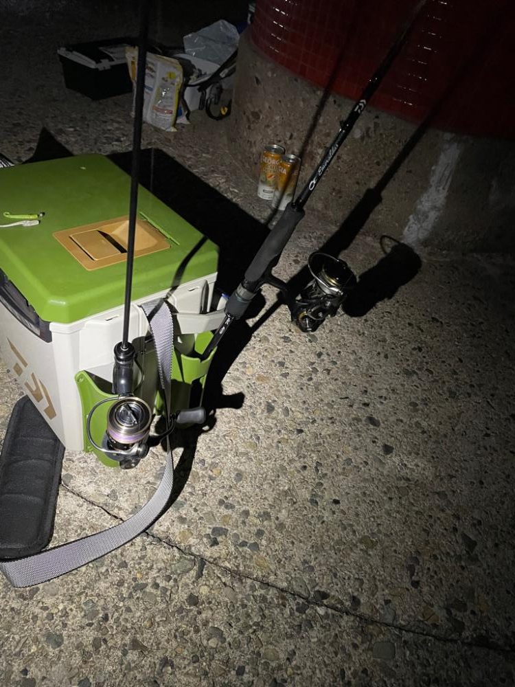 久々に海へアジング