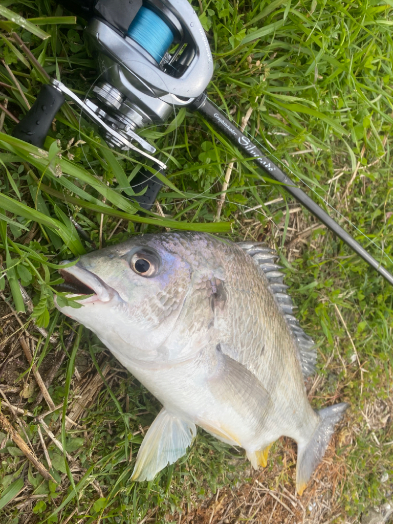 淀川ブリームゲーム　2023開幕