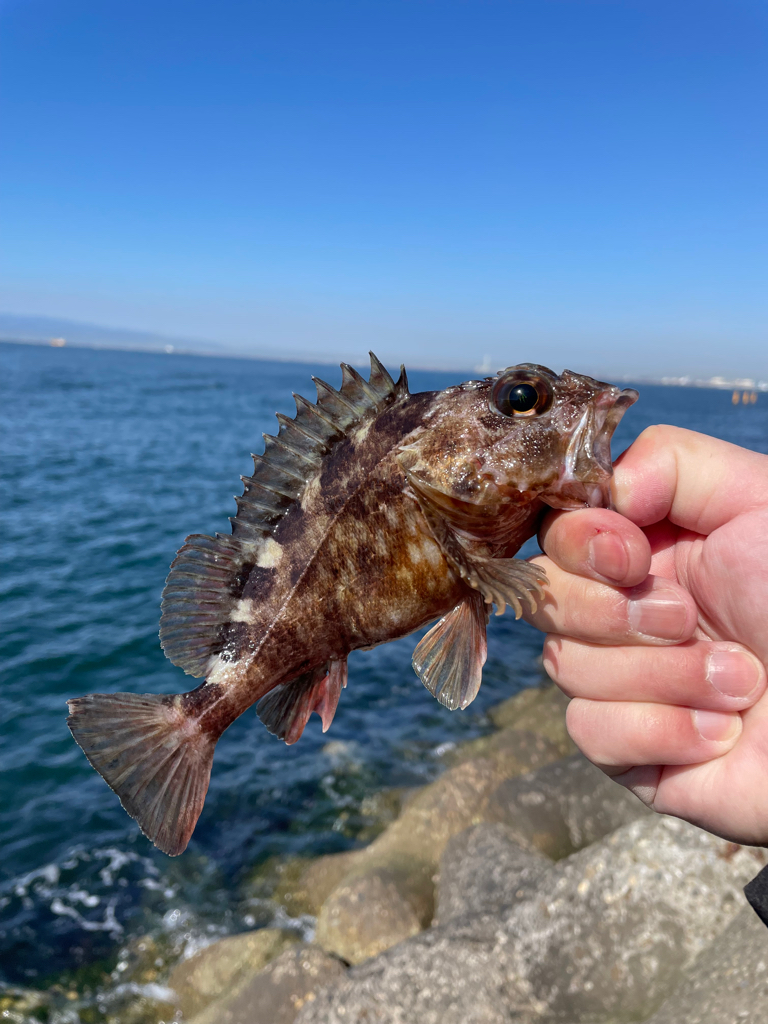 帰ってきた穴釣りNo.8