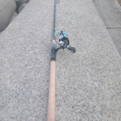 プチsalt water game