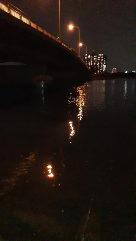 西宮周辺　シーバス