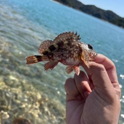 DAIWA　銀狼カップ天草大会に参加しました