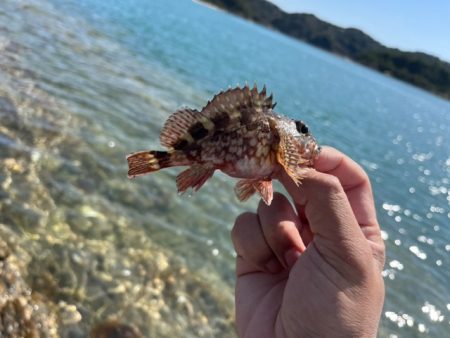 DAIWA　銀狼カップ天草大会に参加しました