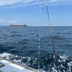 シーズン最終のカワハギ釣りでした