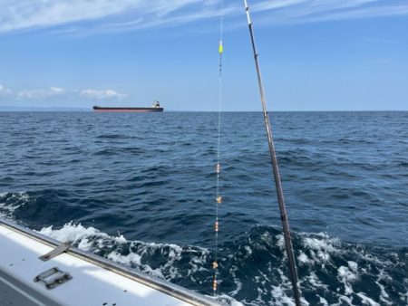 シーズン最終のカワハギ釣りでした