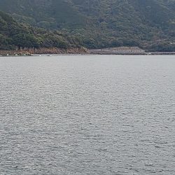 今日も五目釣り達成!