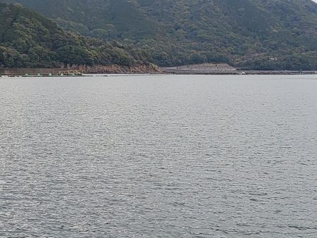 今日も五目釣り達成!