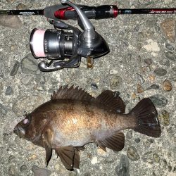 メバリングです