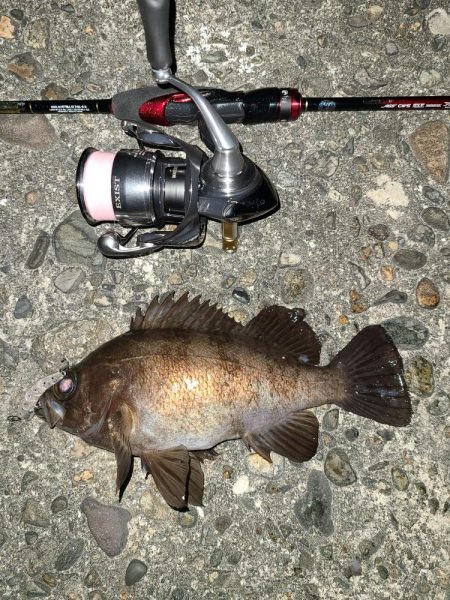 メバリングです