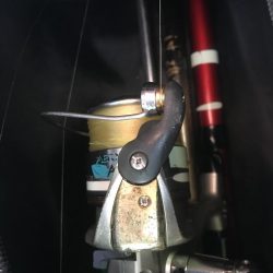 カゴ釣りでアジ&カタボシイワシGET