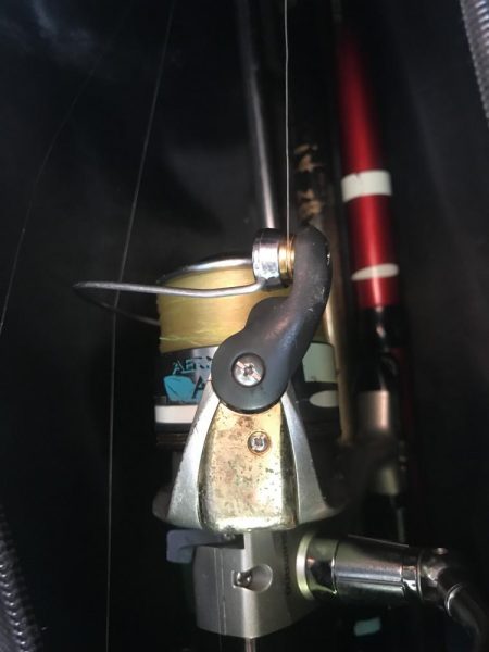 カゴ釣りでアジ&カタボシイワシGET