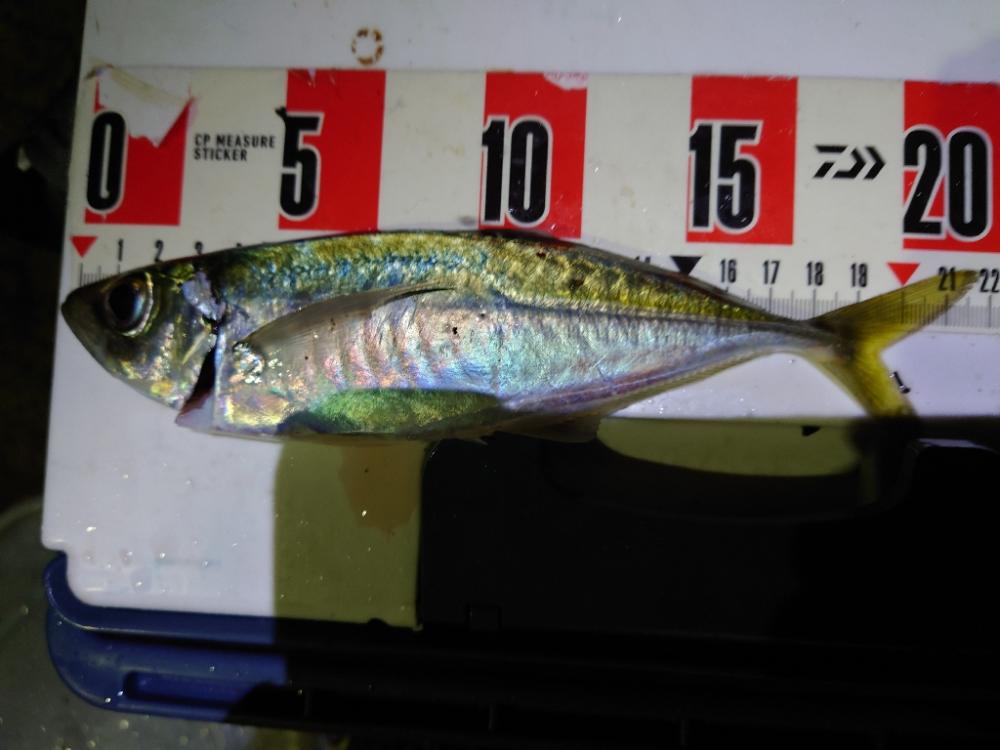 アウェイの洗礼