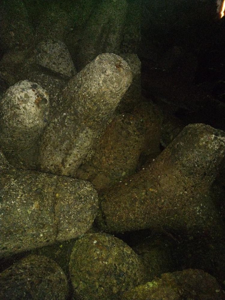 ちょい釣り20230320