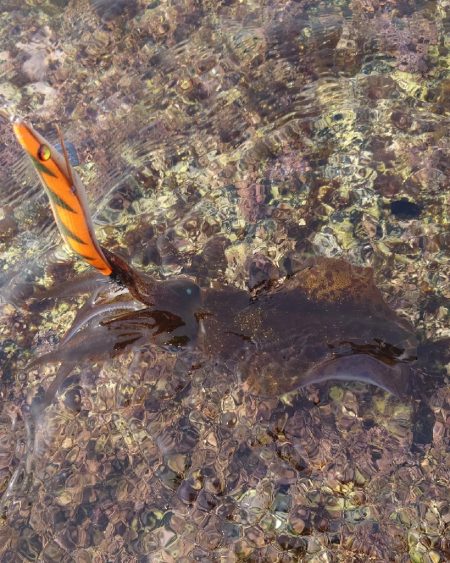 磯ランガンエギングIN対馬