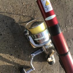 朝マズメにアジ大漁