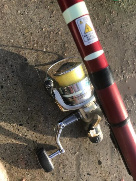 朝マズメにアジ大漁