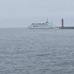 またもや一枚のみ