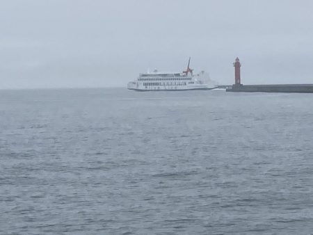 またもや一枚のみ