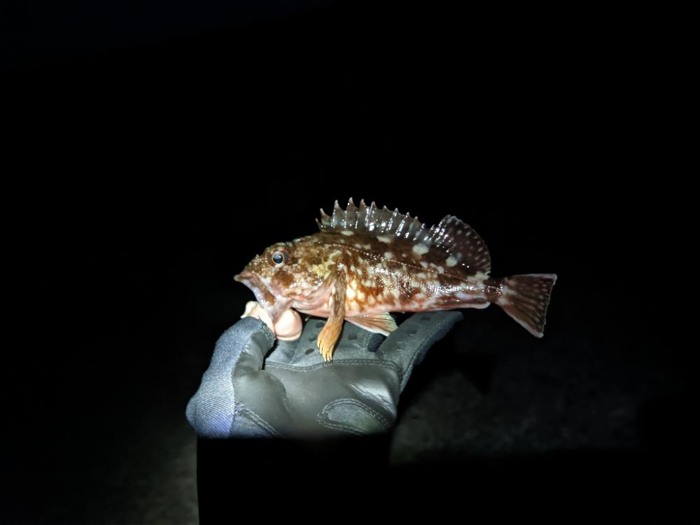 友達との釣りオール後半