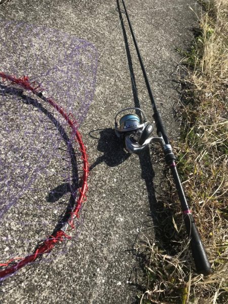 春のチニング調査