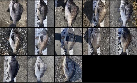 イチノ(兄)釣果!