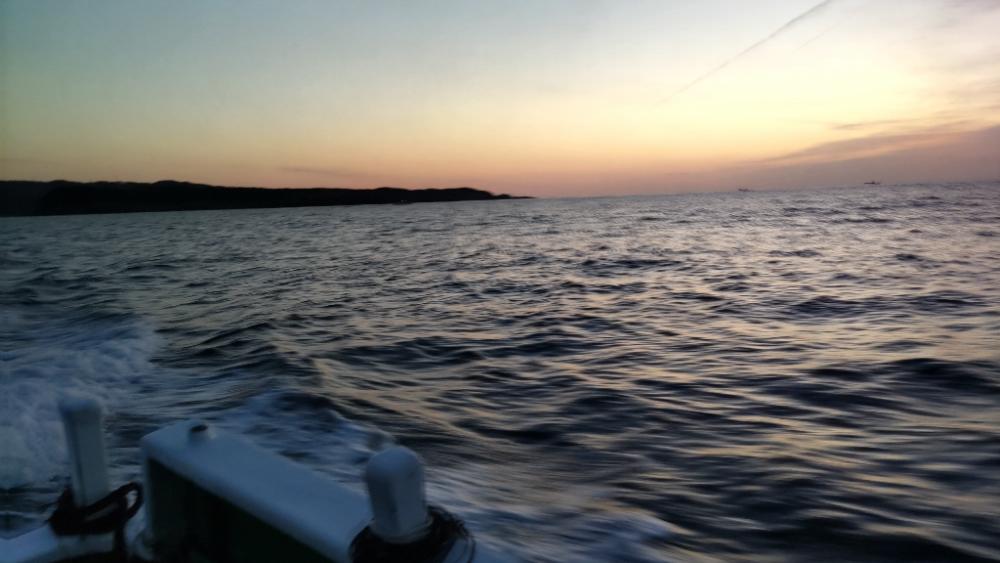 10kgオーバーのトンボ