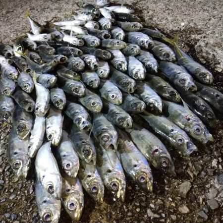 クニャーンで爆釣