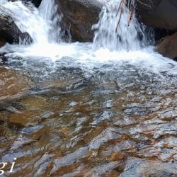 今シーズン2回目の釣行で33匹！！