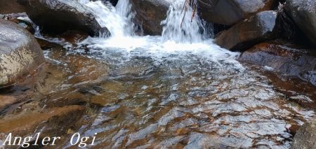 今シーズン2回目の釣行で33匹！！