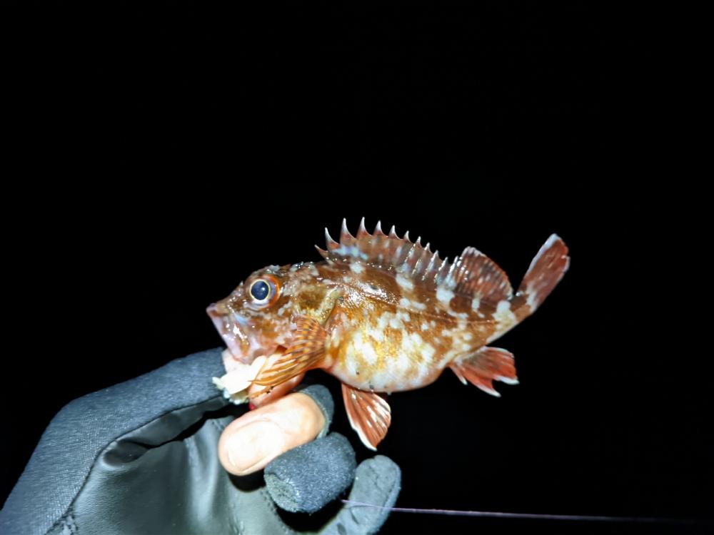 悪状況での釣り