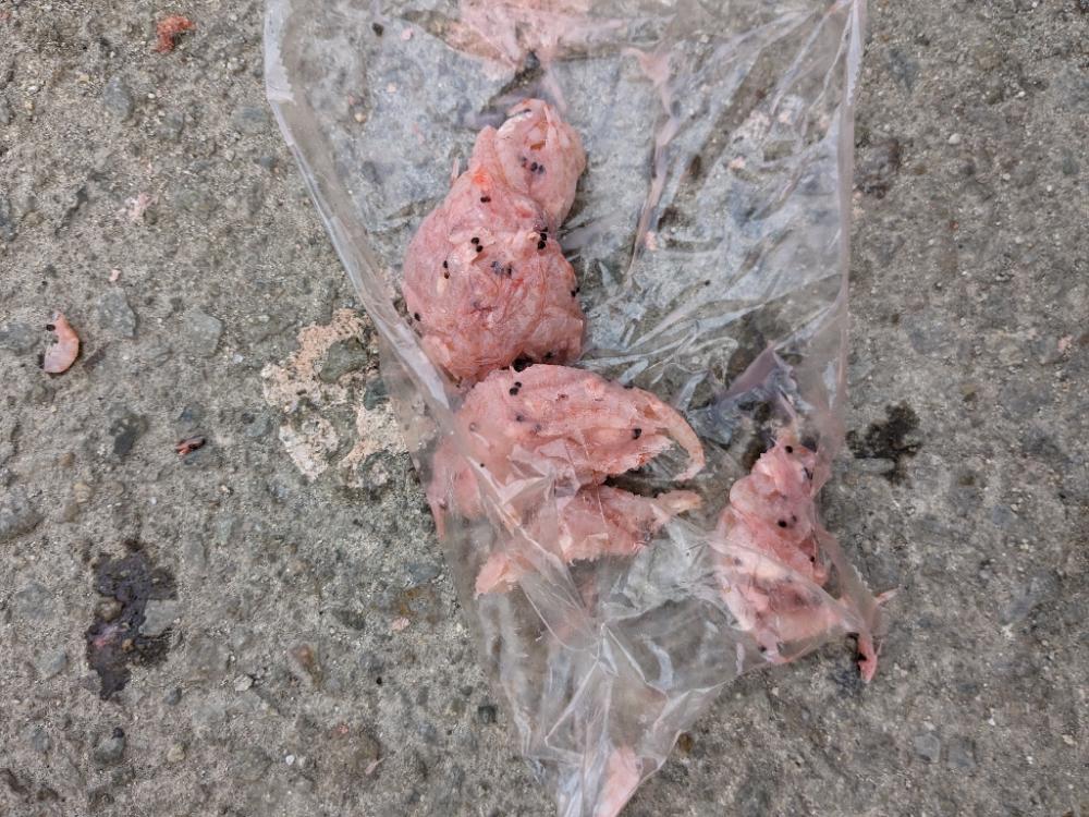 さば、あじ、さっぱ