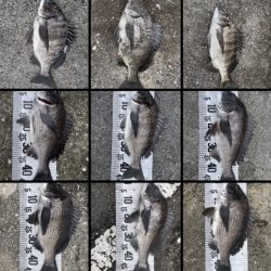 年無し4枚❗️（イチノ兄弟）