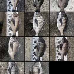 イチノ兄弟（兄）釣果！