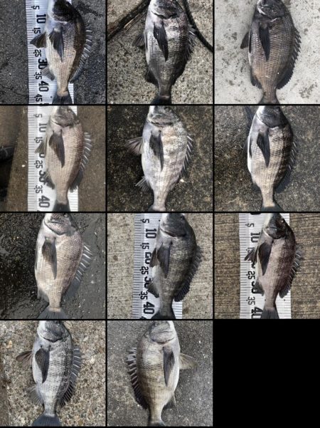 イチノ兄弟（兄）釣果！