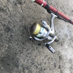 朝マズメにアジ爆釣