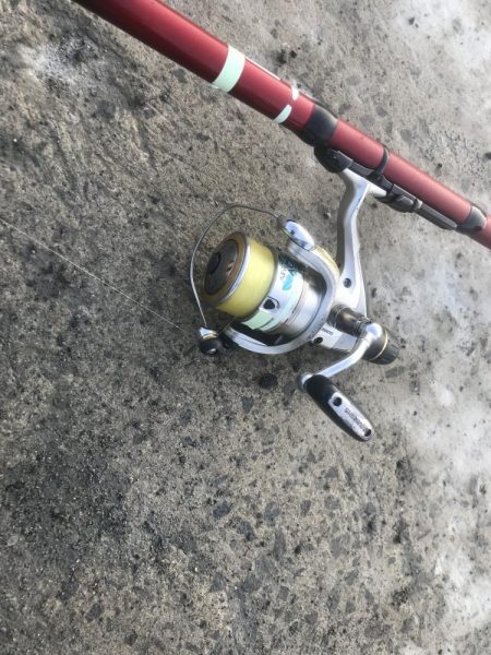 朝マズメにアジ爆釣