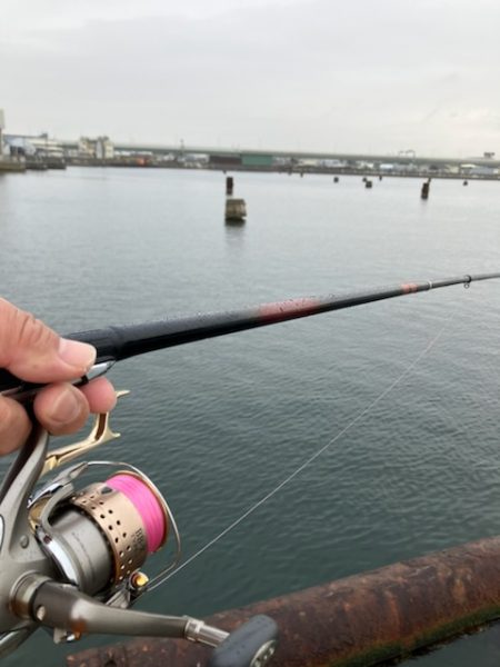 ハネおりました